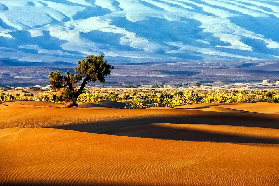 Golden dunes of the Moroccan Sahara