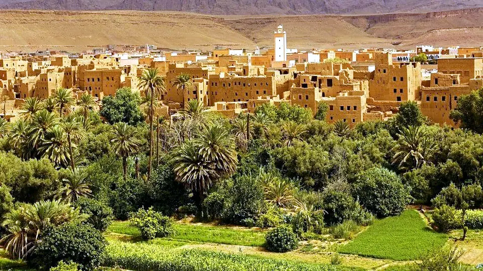 Draa Valley — draa valley