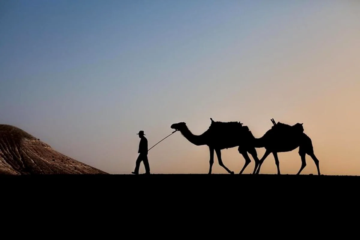 Camel ride and dinner in Agafay Desert