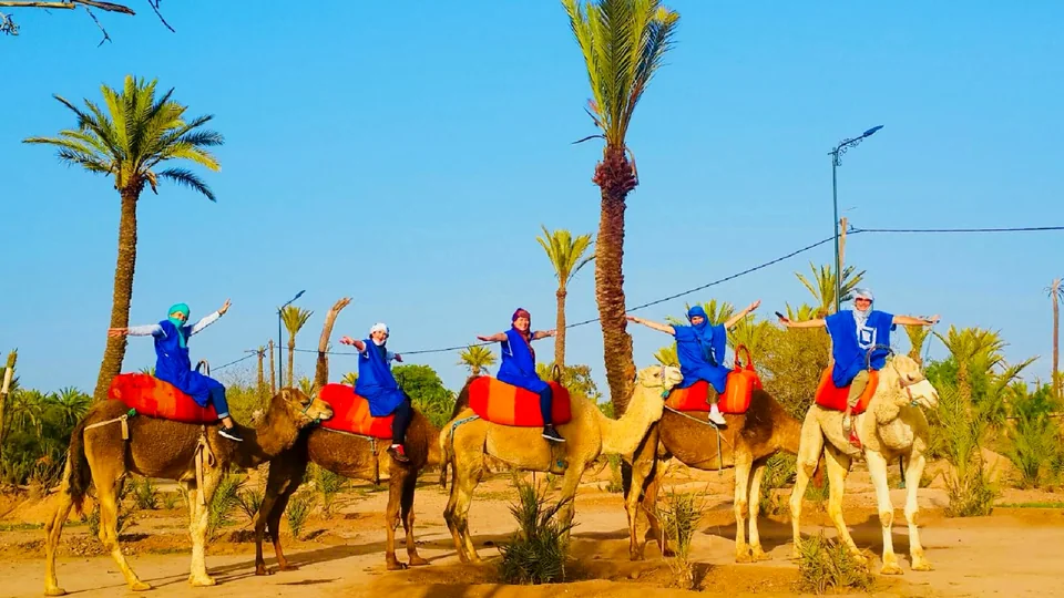Camel ride through Marrakech Palmeraie