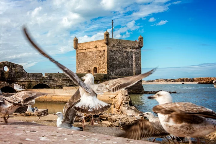 Private Day Trip to Essaouira tour photograph 3