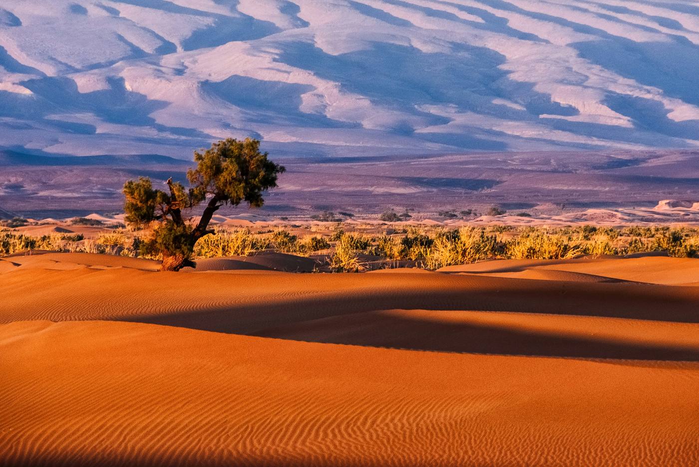 4-Day Sahara 2 Nights